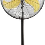 71dfmMIBunL._AC_SL1500_.jpg