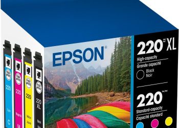 EPSON 220 DURABrite Ultra Ink High Capacity Black & Standard Color Cartridge Combo Pack Works with