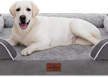 Comfort Expression Jumbo Dog Bed for Extra Large Dogs, Waterproof Orthopedic Dog Bed, Large Breed