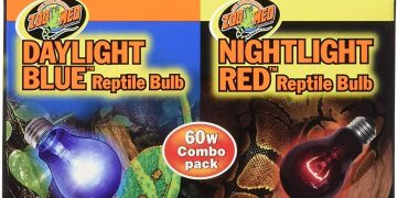 Zoo Med Day & Night Reptile Bulb Combo Pack