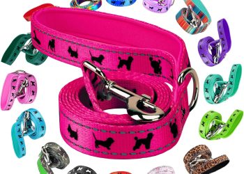 EcoBark Dog Leash – Soft & Reflective Comfort Training Leashes with Padded Handle – Strong Durable