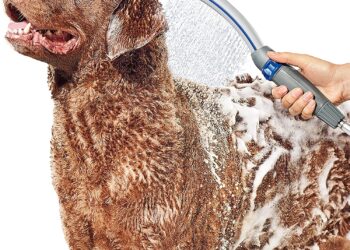 Waterpik Pet Wand Pro Dog Shower Attachment for Fast and Easy Dog Bathing and Cleaning,